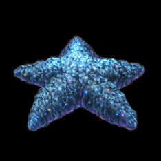 Star Fragment