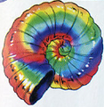 Thumbnail for version as of 02:14, 10 January 2005